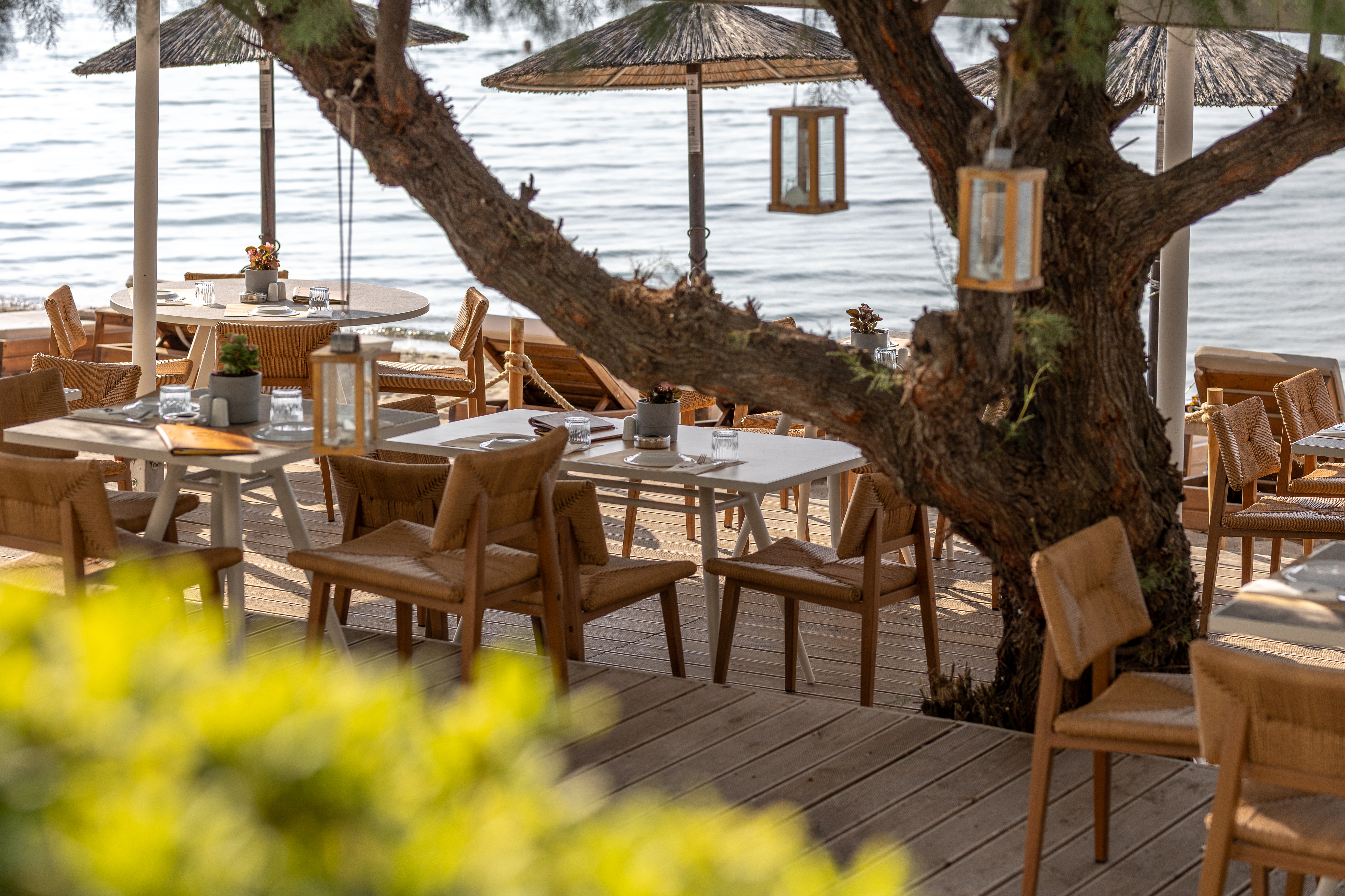 Outdoor a la carte terrace